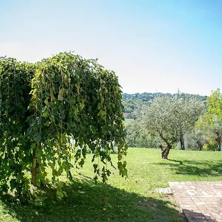 Il Salino *